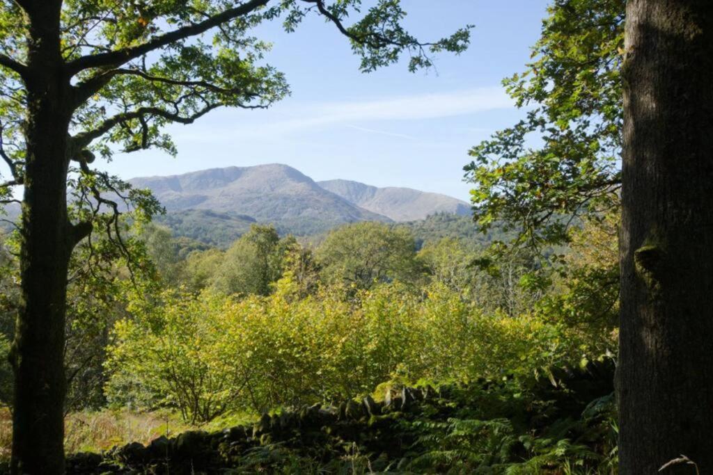 Pippins 7 Neaum Crag *